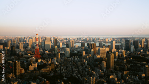 Japan cityscape, city view with Tokyo tower at the time of sunset