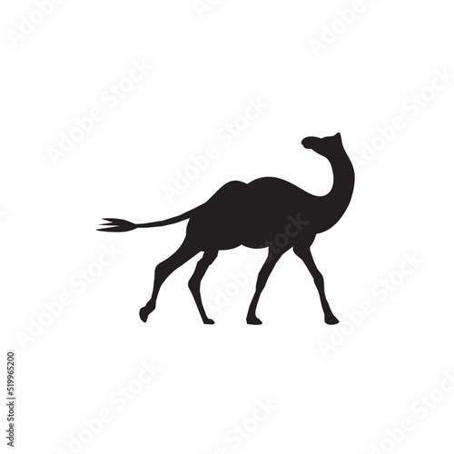 Desert camel transportation icon logo design © dimensi design