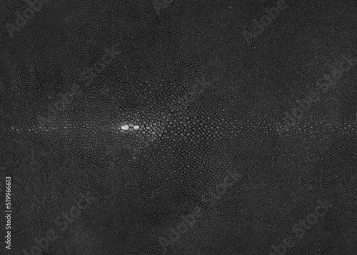 Black stingray skin shagreen texture high resolution