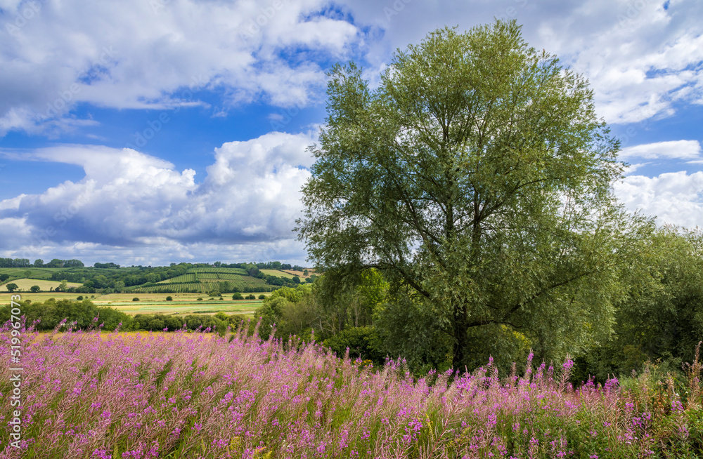 Beautiful views over the Brede Valley from hills on the high weald east Sussex south east England Beautiful views over the Brede Valley from hills on the high weald east Sussex south east England