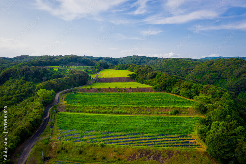 Fototapeta premium The aerial view of Kochi