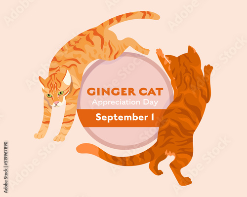 Happy ginger cats jumping and playing. Ginger Cat Appreciation Day. September 1
