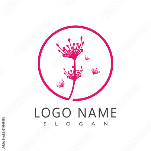 Dandelion flower logo vector template design