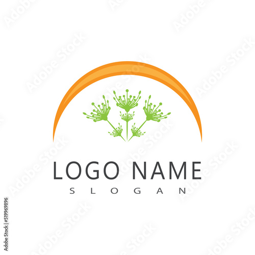 Dandelion flower logo vector template design