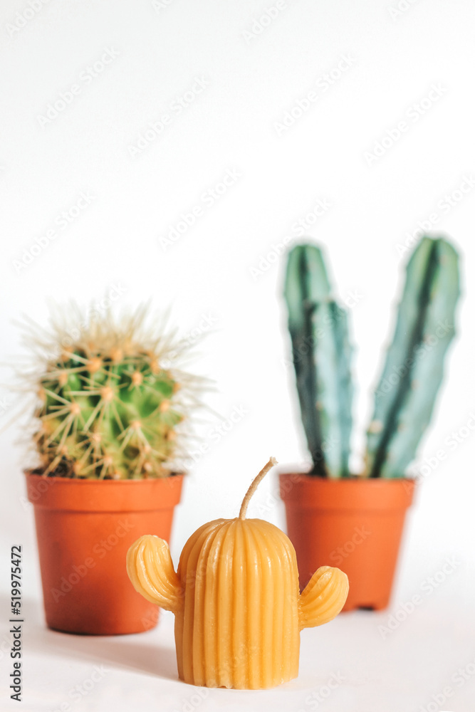 Candle in the shape of a cactus. cactus decor Candle in the shape of a cactus. cactus decor