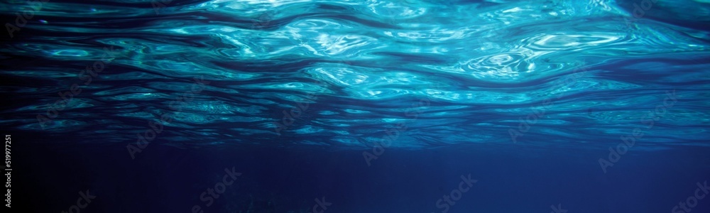Obraz premium Underwater Background Very Cool