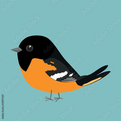 A vector illustration of a cute Baltimore oriole. The bird is looking to the left. You see the bird from the side. Blue background.tit