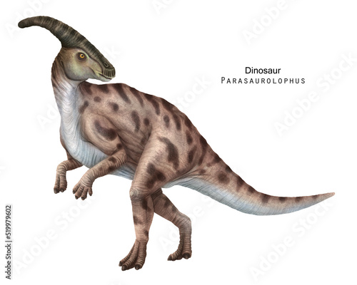 Parasaurolophus illustration. Beige Dinosaur  herbivorous ornithopod