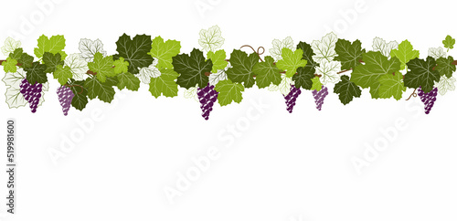 seamless border, grape border, illustration
