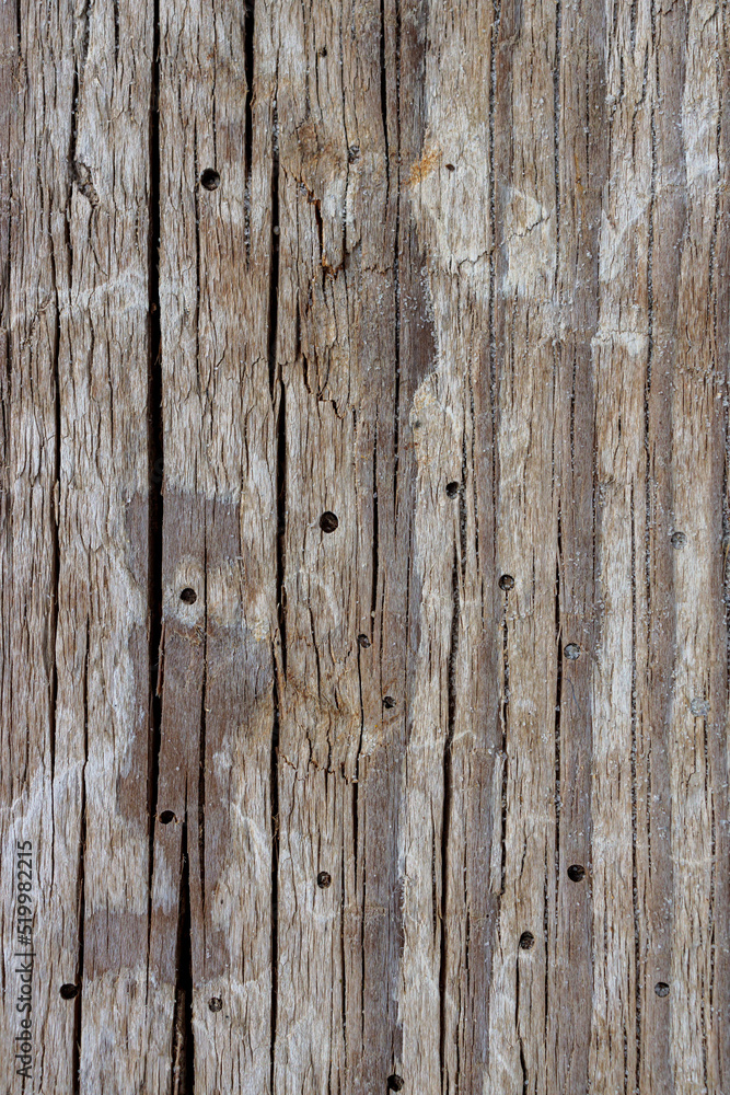 Fototapeta premium Wood grain texture