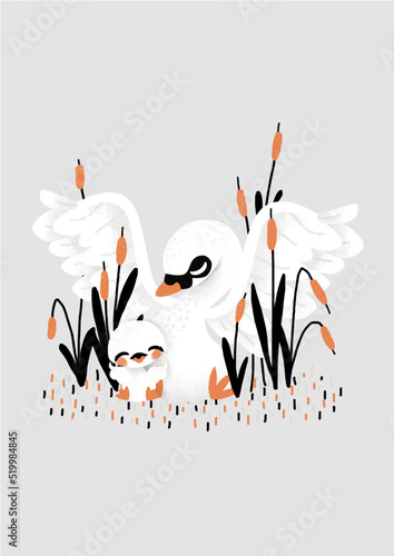 Maman Cygne et son petit