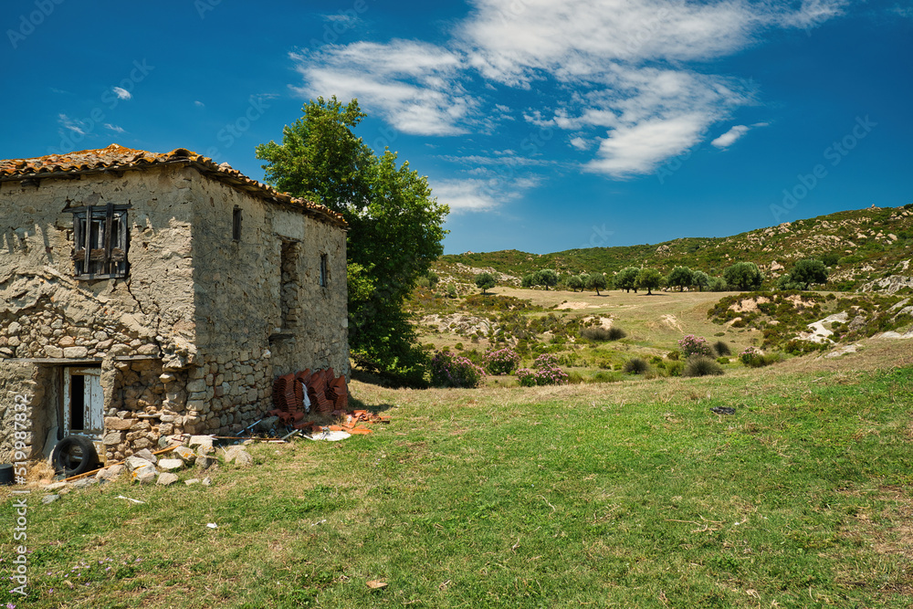 Old stonehouse .and olive trees, rural landscape in Greece