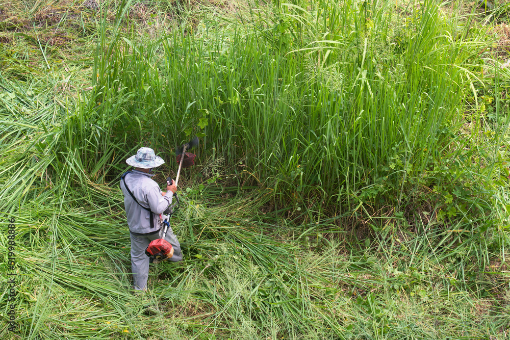 Man worker cutting grass with lawn mower.