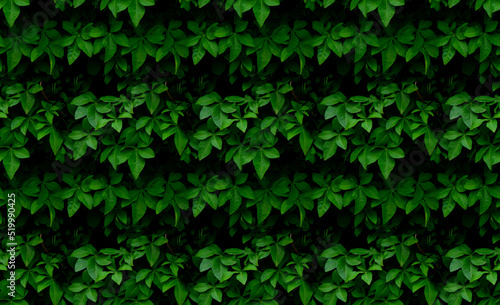 Green leaf seamless texture background full