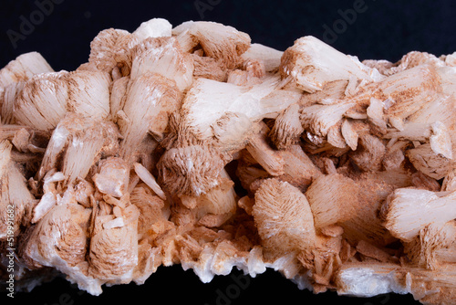 Closeup of Stilbite. Stilbite is a low-temperature secondary hydrothermal mineral. It occurs in the amygdaloidal cavities of basaltic volcanic rocks photo