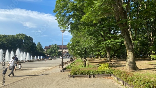 The grass, trees and the fountain at the park of Ueno Tokyo Japan, year 2022 July 28th