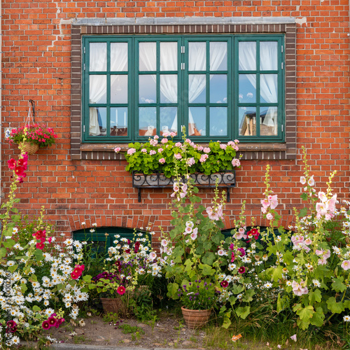 Fototapeta Naklejka Na Ścianę i Meble -  window with flowers