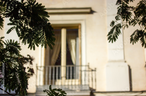 Facade of an old residential building, a beautiful white house with a cozy balcony blurred background. European street, details of the architecture behind the tree branches. Abstract house front view.