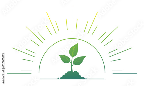 Planting sprouts. Seedling icon vector with shining illustration isolated on white background.