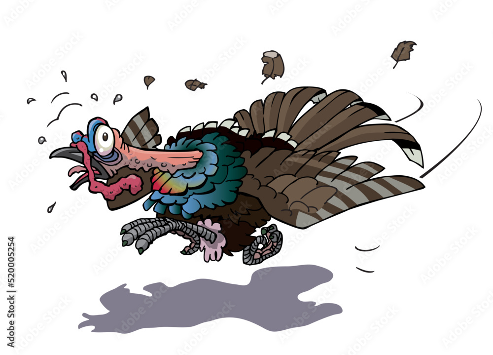Obraz premium running turkey