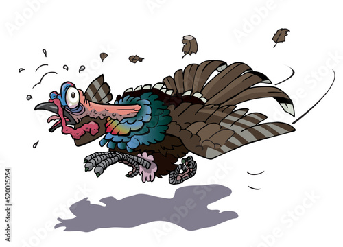 running turkey
