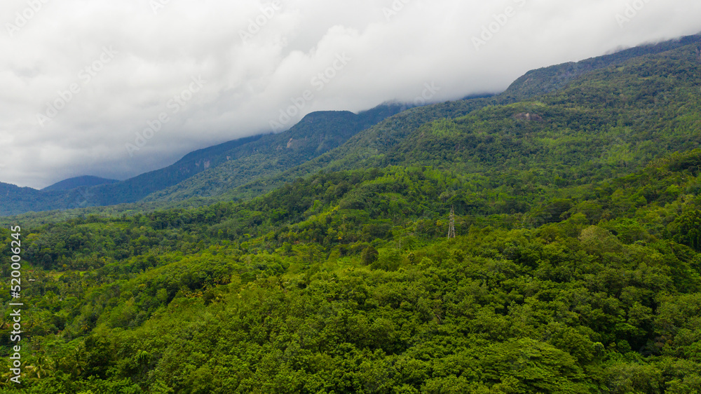 Fototapeta premium Aerial view of Mountains with rainforest and agricultural land in a mountainous province in Sri Lanka.