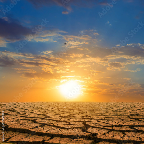 dry cracked earth at the dramatic sunset, ecological calamity background