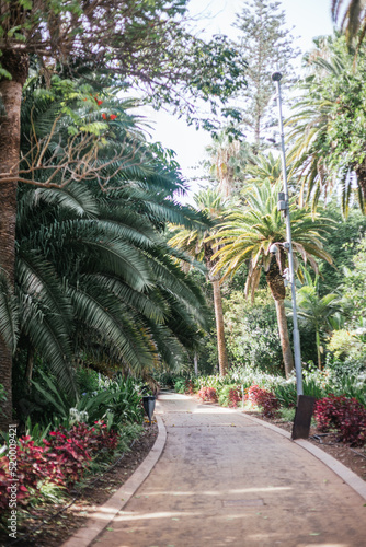 Garcia Sanabria Park and gardens  Santa Cruz de Tenerife.