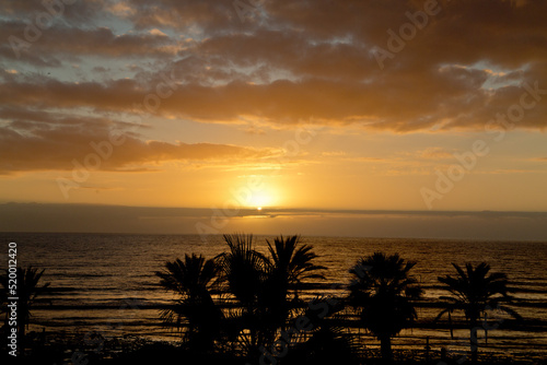 Sonnennuntergang über den Palmen © Philipp