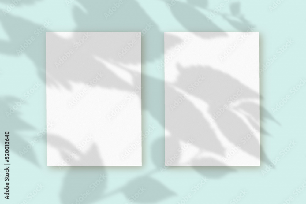 2 vertical sheets of textured white paper on soft blue table background. Mock up with an overlay of plant shadows. Natural light casts shadows from the leaves of a tree branch. Horizontal orientation