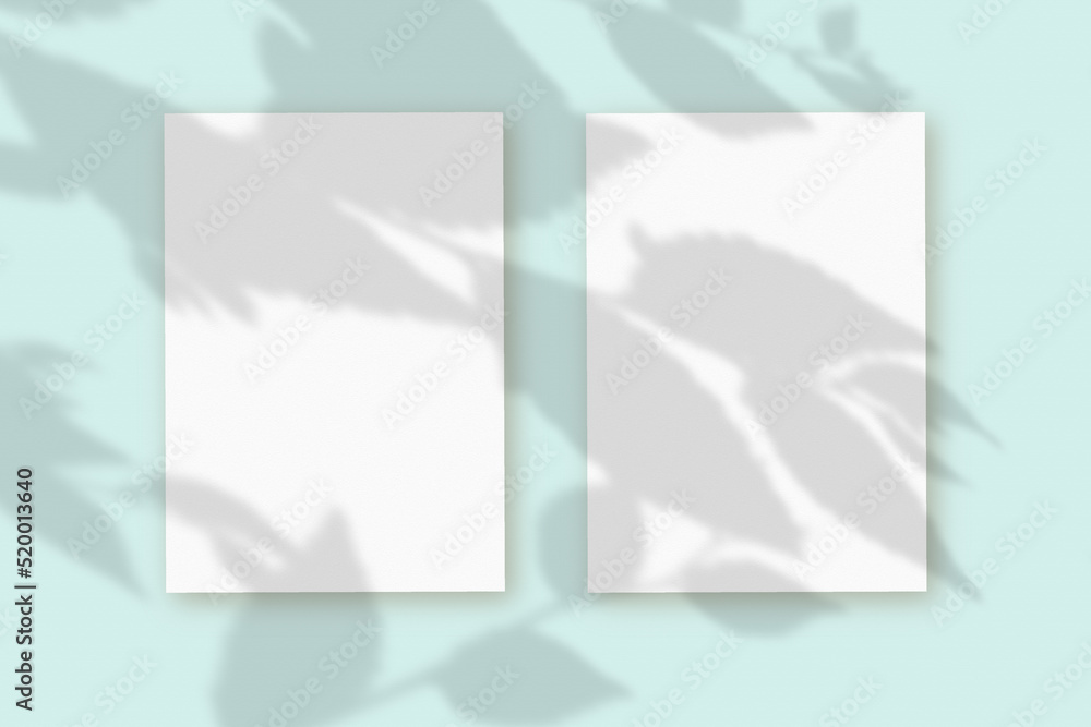 2 vertical sheets of textured white paper on soft blue table background. Mock up with an overlay of plant shadows. Natural light casts shadows from the leaves of a tree branch. Horizontal orientation 2 vertical sheets of textured white paper on soft blue table background. Mock up with an overlay of plant shadows. Natural light casts shadows from the leaves of a tree branch. Horizontal orientation