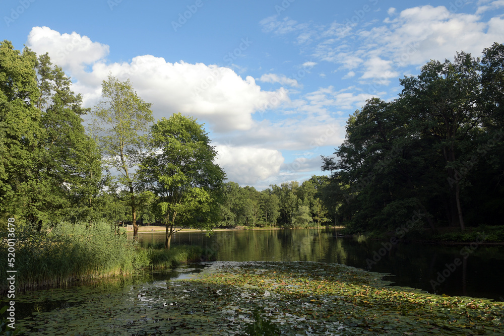 Fototapeta premium jungfernheidesee