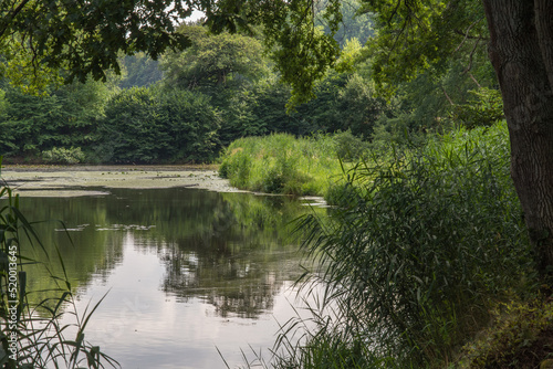 schwarzweiher bei enkenbach-alsenborn