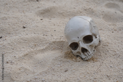 human skull laying in beach sand