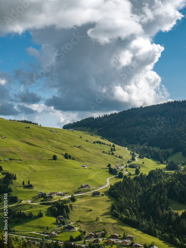 View of the moutains in the Col des Aravis in the French alps on a summer day © Yves