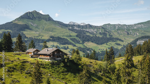 French alps cottage in the Aravis Moutains in summer © Yves