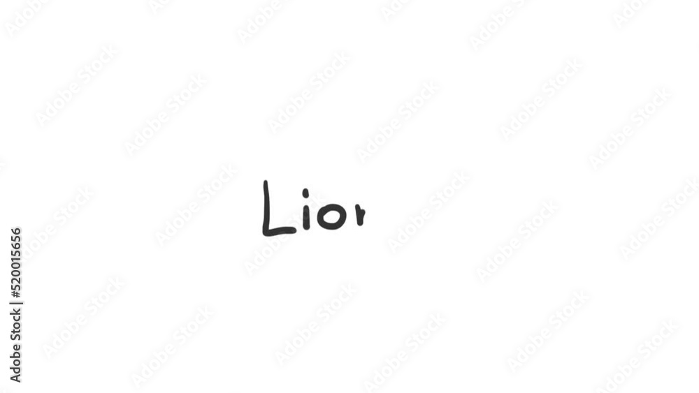 Drawing lesson for children. Drawing in doodle style. Linear sketch of a lion. Joking cartoon animation of the drawing process. Drawing lesson for children. Drawing in doodle style. Linear sketch of a lion. Joking cartoon animation of the drawing process.