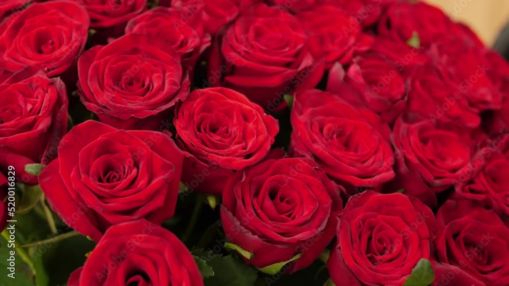 Blooming rose flowers, close-up. Beautiful red roses bouquet background. Wedding backdrop, Valentine's Day concept Blooming rose flowers, close-up. Beautiful red roses bouquet background. Wedding backdrop, Valentine's Day concept