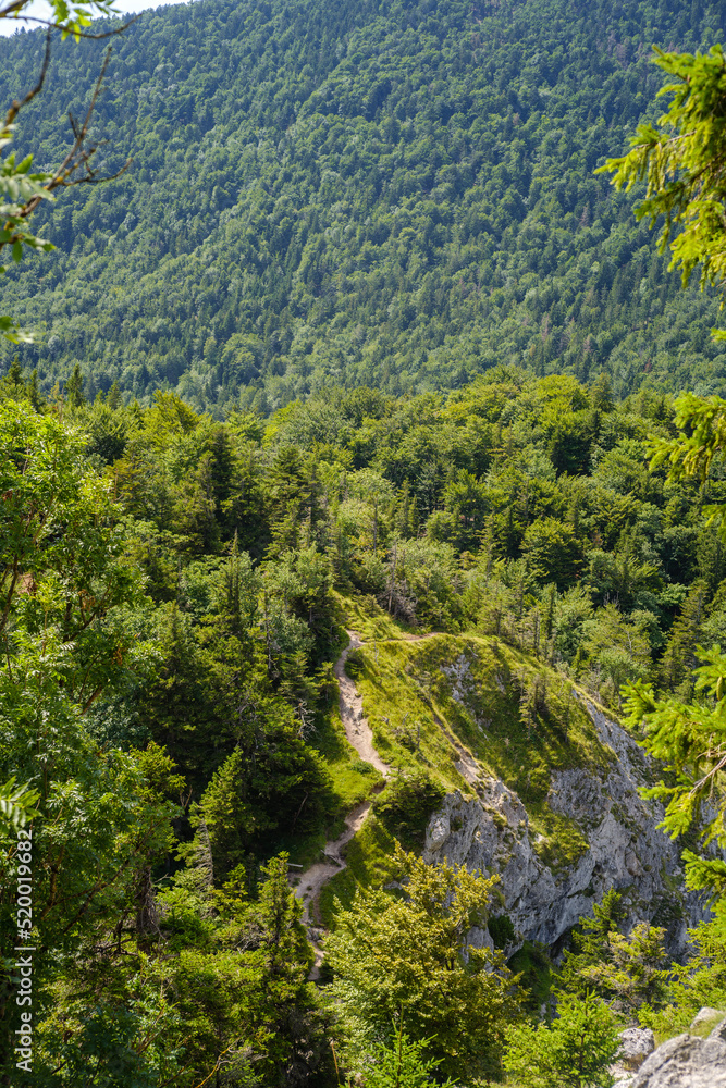 View from the Nockstein rock on a beautiful hiking trail up to the Gaisberg. The Nockstein is a crag on the northeast slope of the Gaisberg mountain in the north of the state of Salzburg. View from the Nockstein rock on a beautiful hiking trail up to the Gaisberg. The Nockstein is a crag on the northeast slope of the Gaisberg mountain in the north of the state of Salzburg.