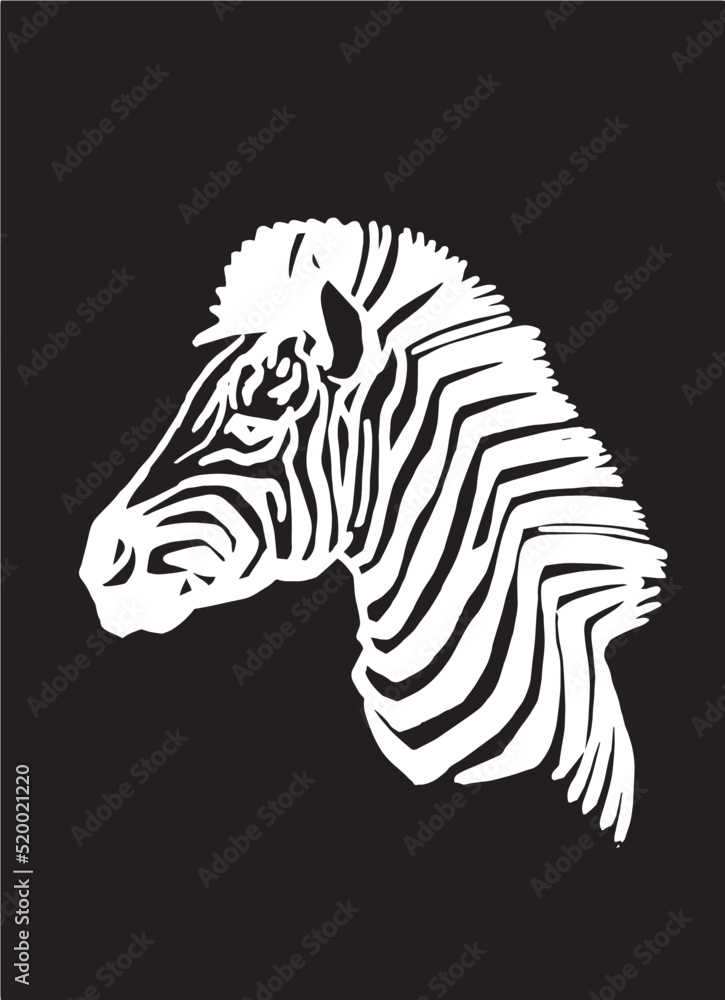Vector portrait of zebra isolated on black,head of zebra Vector portrait of zebra isolated on black,head of zebra
