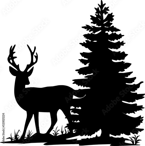 silhouette of deer in the forest