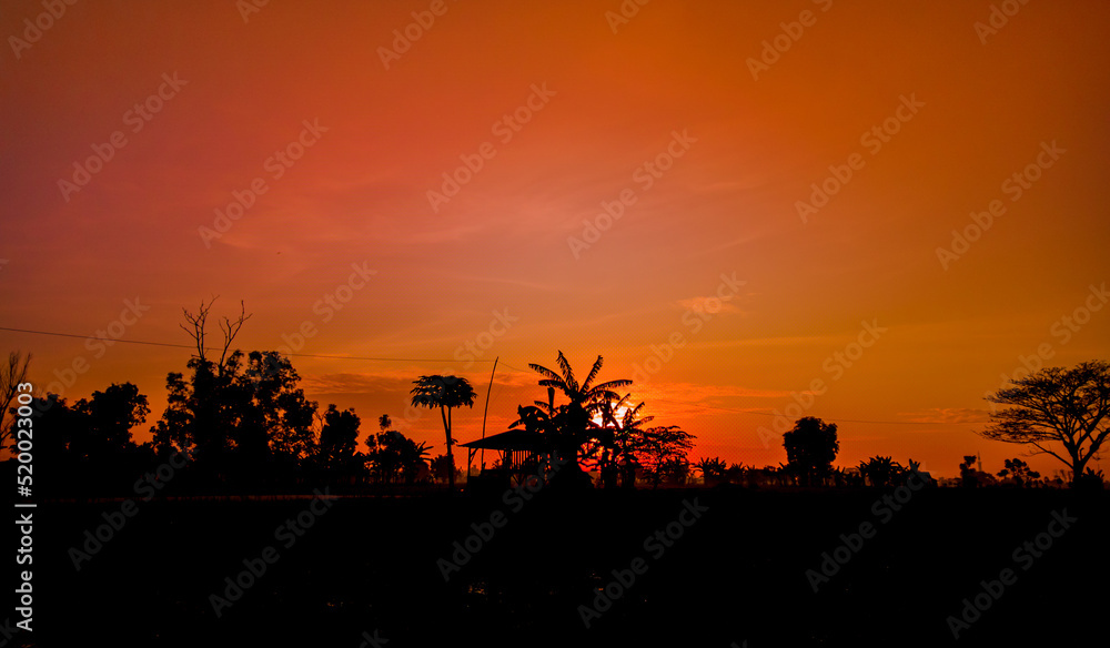 Silhouette of beautiful nature trees at sunrise with orange sky