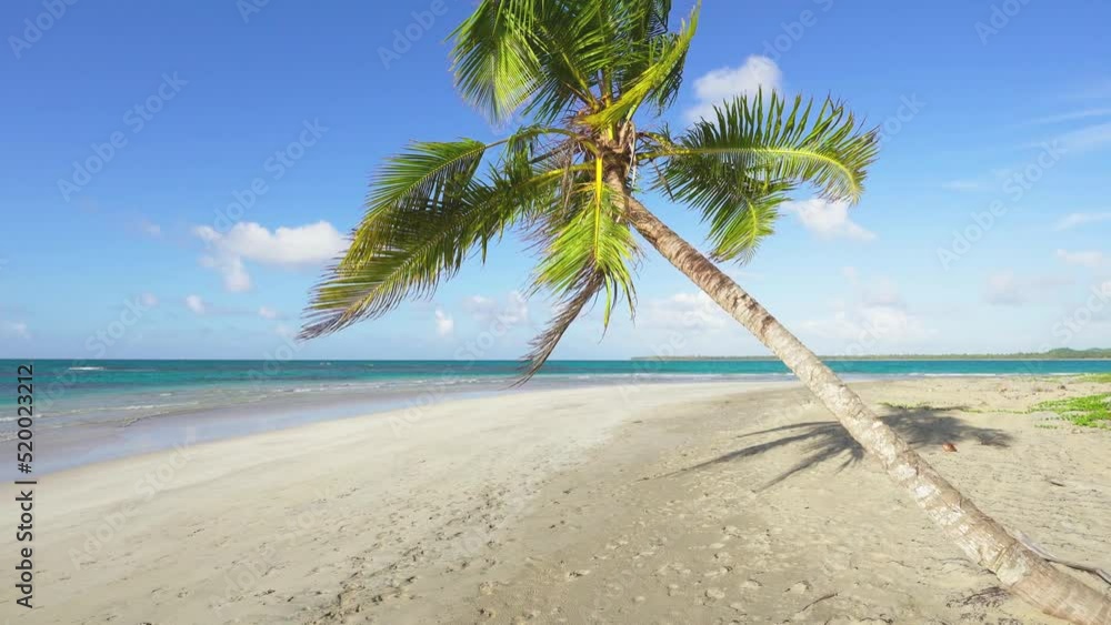 Landscape of a wild deserted tropical beach with palm trees and white sand. Tropical island in the Atlantic Ocean. Summer travel concept background. Landscape of a wild deserted tropical beach with palm trees and white sand. Tropical island in the Atlantic Ocean. Summer travel concept background.