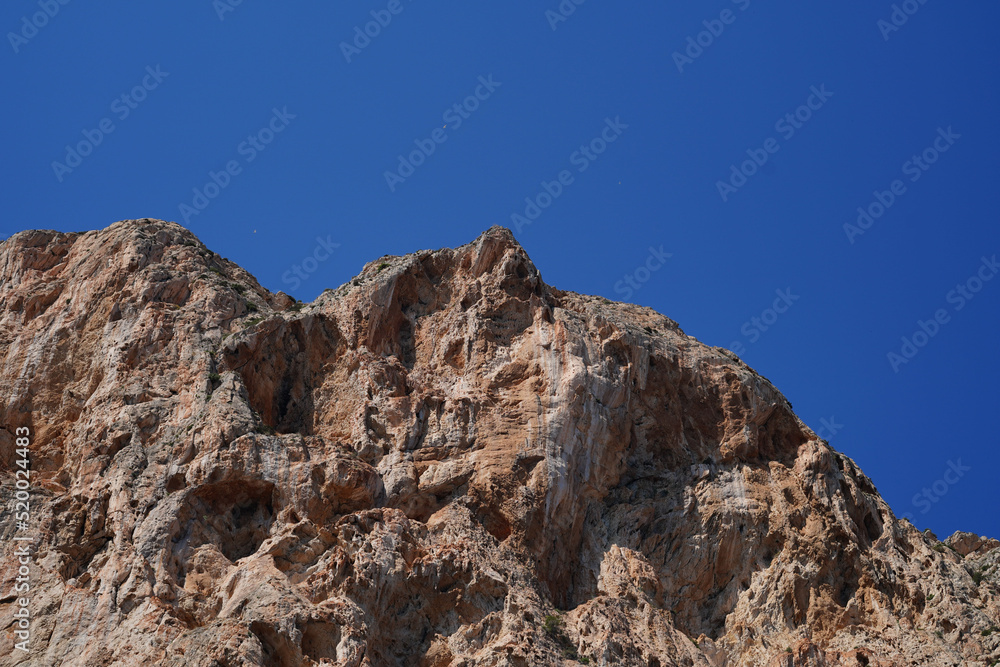 roca roca