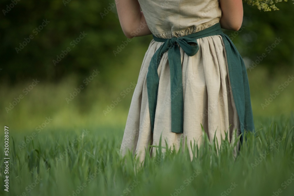 Fototapeta premium woman in a dress