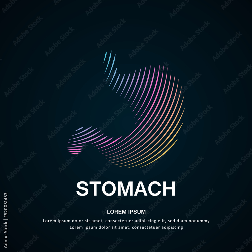 Human stomach medical structure. Vector logo stomach color silhouette on a dark background. EPS 10
