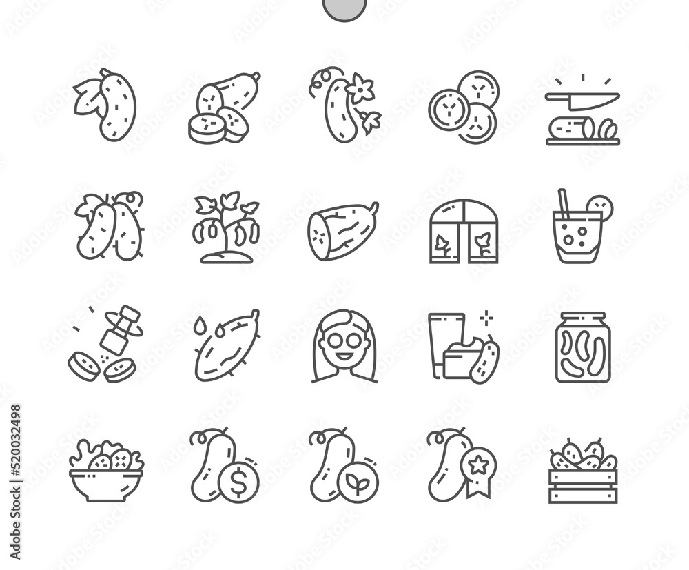 Fototapeta premium Cucumber. Slice cross section with seeds. Cooking, recipes and price. Menu for cafe. Pixel Perfect Vector Thin Line Icons. Simple Minimal Pictogram