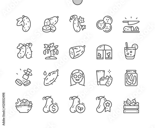 Cucumber. Slice cross section with seeds. Cooking, recipes and price. Menu for cafe. Pixel Perfect Vector Thin Line Icons. Simple Minimal Pictogram
