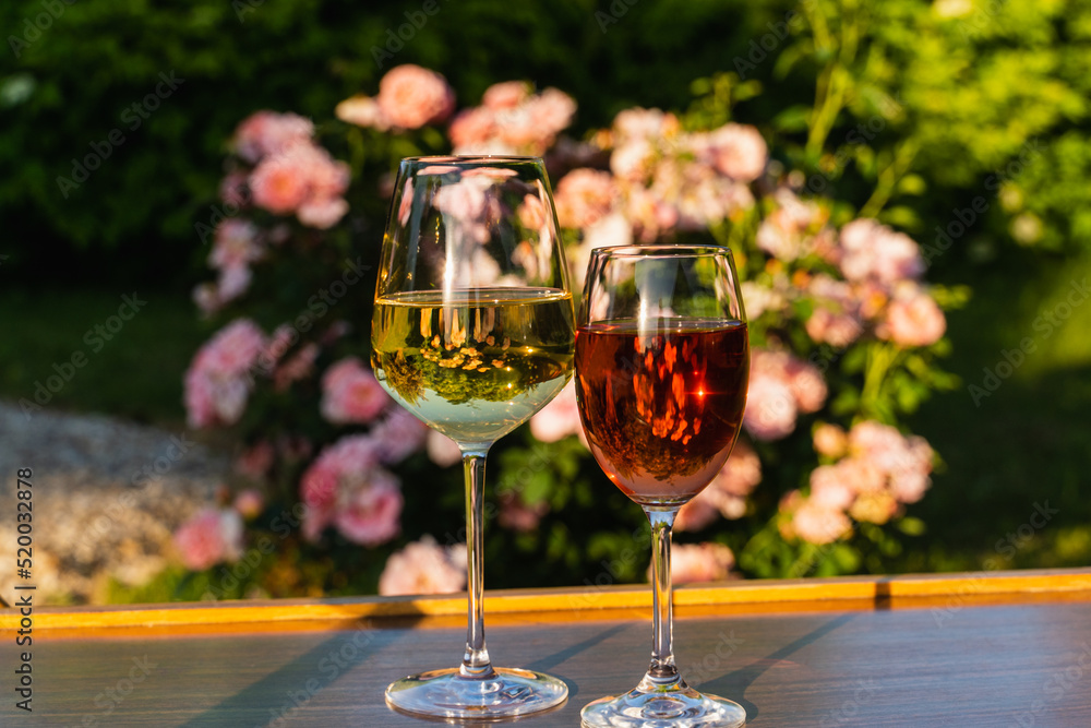 A glasses of red and white wine against outdoor garden background. A glasses of red and white wine against outdoor garden background.