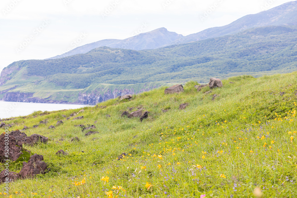 Fototapeta premium Iturup landscape, Yankito plato. Russia, Sakhalin region, Kuril Islands. Mountains and Okhoskoe sea